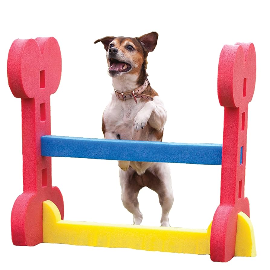 お値下げしました‼️Rosewood犬用アジリティセット Amazon | Rosewood 小型犬用 トレーニング器具 ドッグ